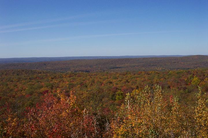 fall 020.jpg